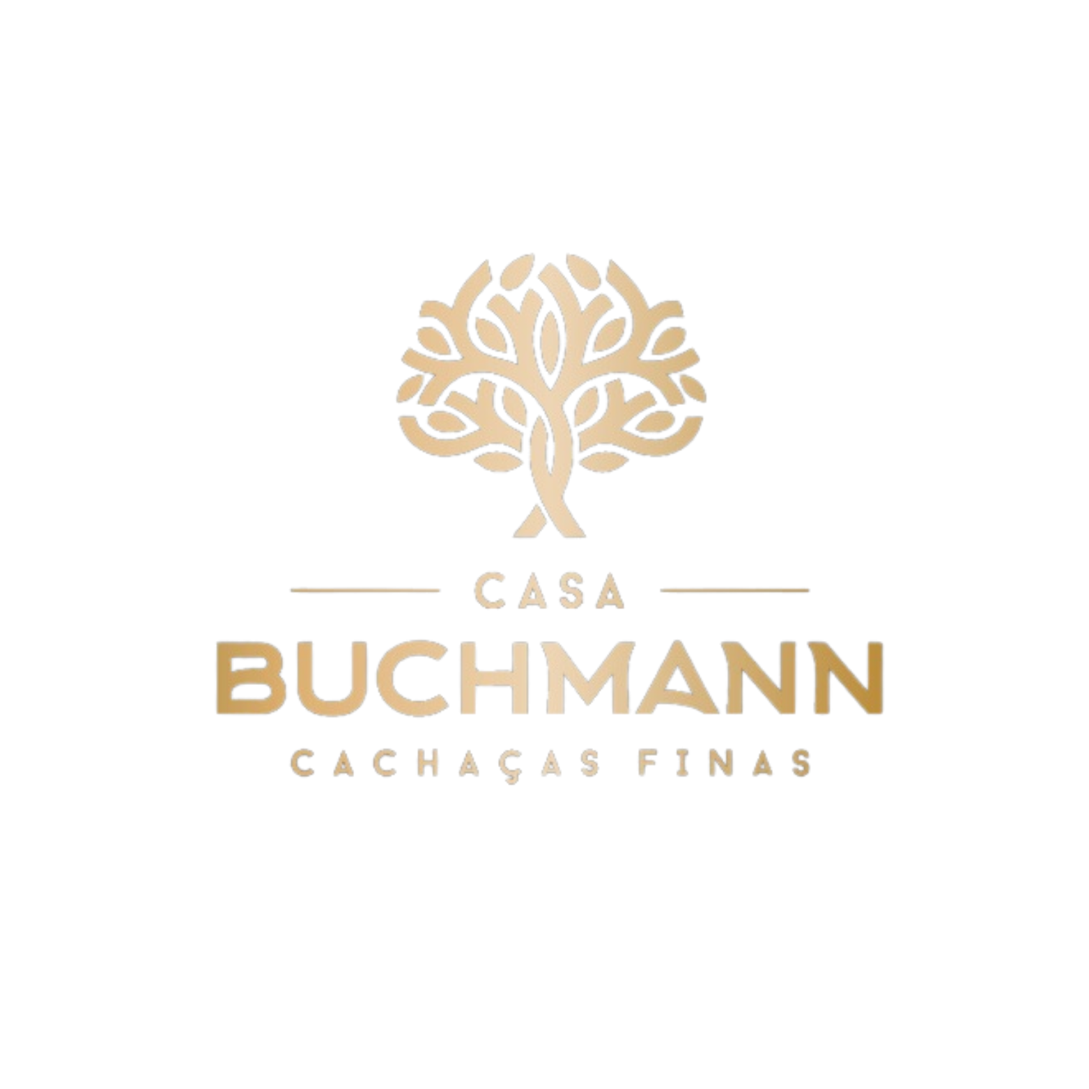 Casa Buchmann